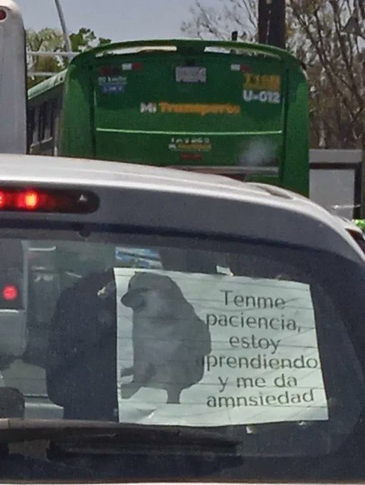 sergiorocaa's tweet photo. yo cuando saque el carnet de conducir https://t.co/lkit7GUlQp