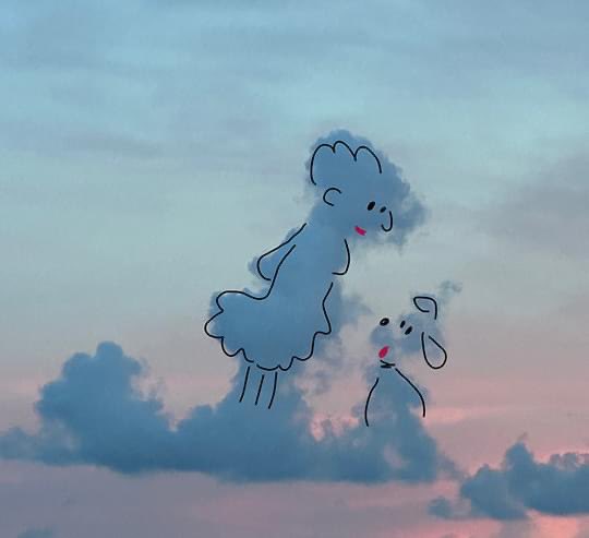 cloudywithfaces's tweet image. Lady and dog. 
#clouds #sky #lady #dog