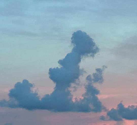 cloudywithfaces's tweet image. Lady and dog. 
#clouds #sky #lady #dog