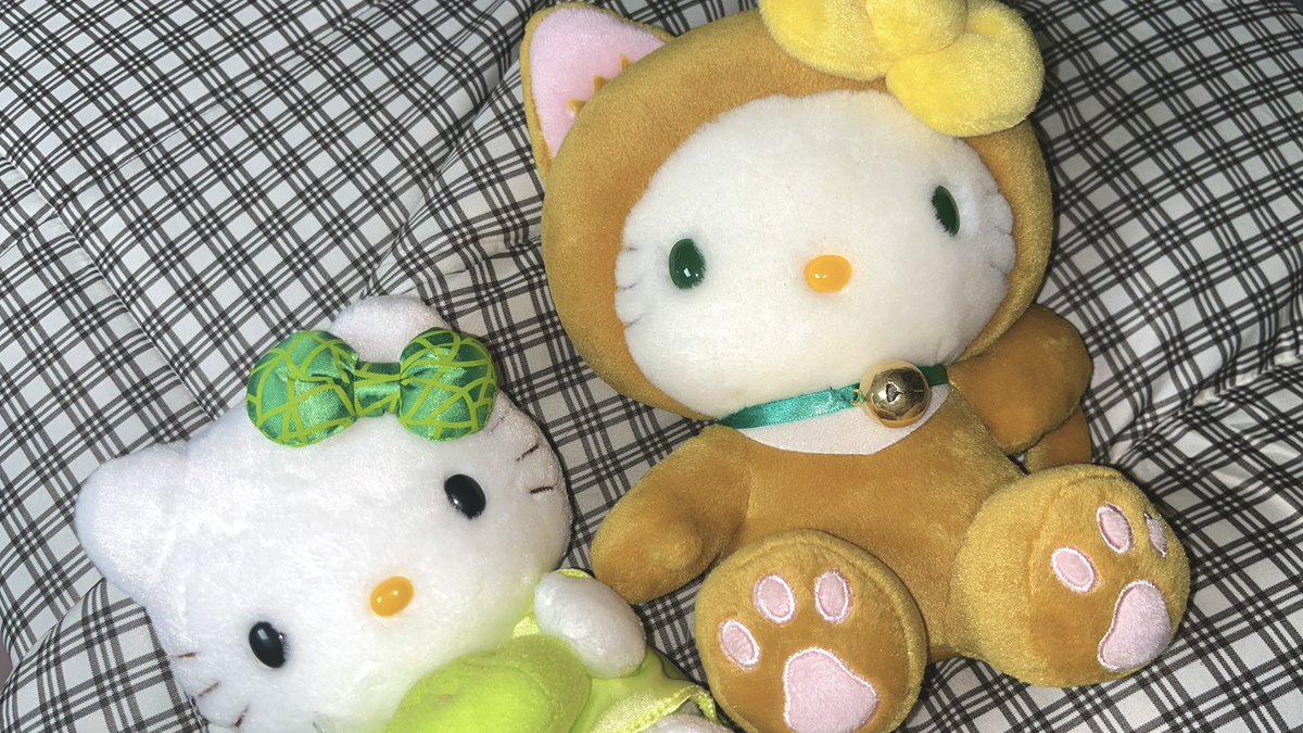 해삐링 tweet media