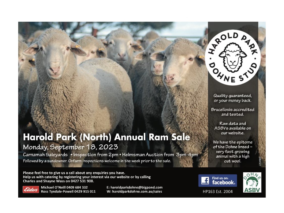 Small studs…..sooo much work with most of the rewards being non financial.