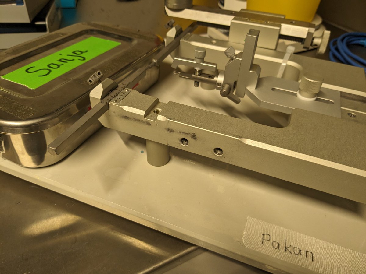 LINdoscope tweet media