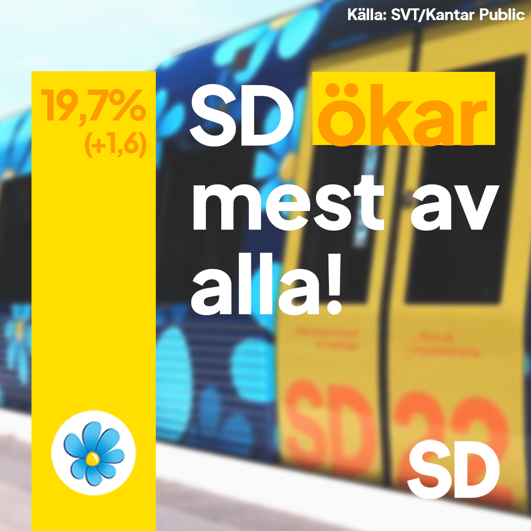 Glada nyheter! Sverigedemokraterna ökar mest av alla i SVT/Kantar Publics senaste väljarbarometer.