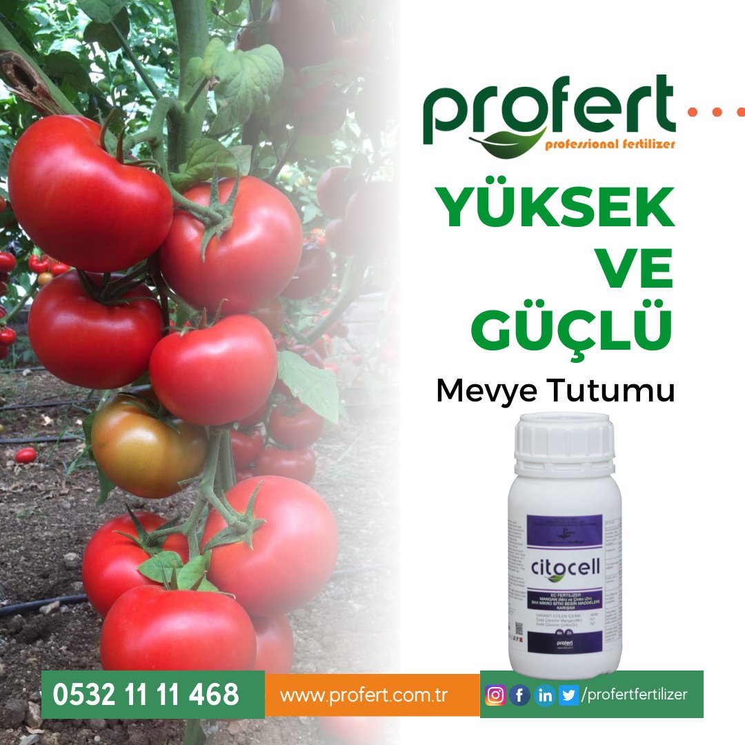 Profertgubre's tweet photo. CitoCell demek KAZANÇ demek.
Çiçeklenme, meyve tutumu, yan dal oluşumu, meyve büyümesi, dayanıklılık.
Tomurcuk oluşumunu ve çiçek kalitesini arttırır, buna bağlı olarak meyve tutumunda artış sağlar.
Boyuna büyümeyi baskılayıp yan dal oluşumunu teşvik eder.

#profert #Persembe https://t.co/iuLUKrWugG