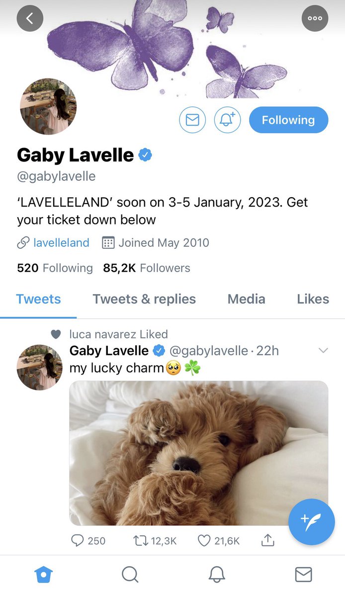 HAZEL tweet media