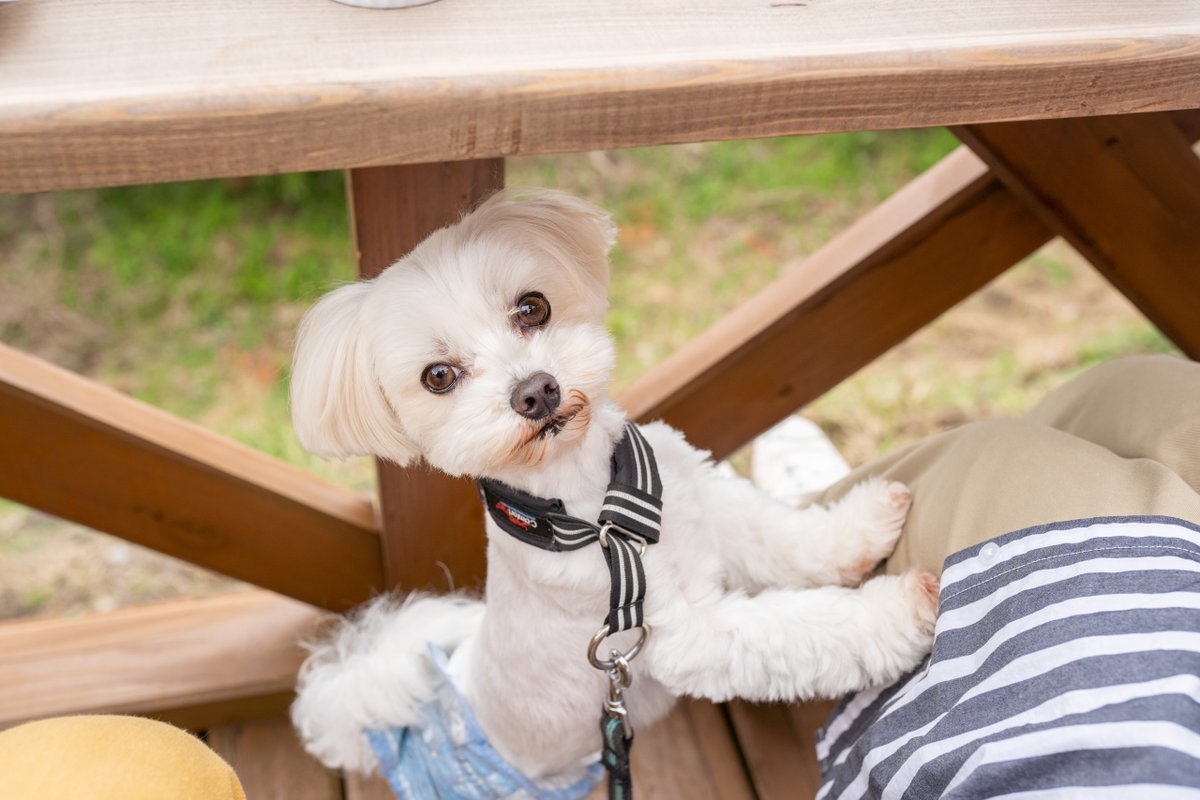 長崎県観光連盟　DiscoverNagasaki／ながさき旅ネット tweet media