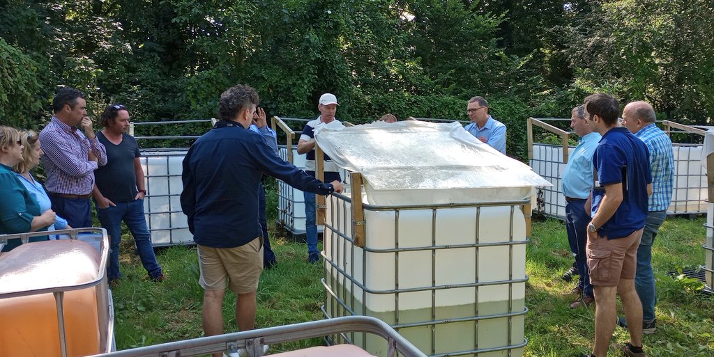 Plants for Sustainability tweet media