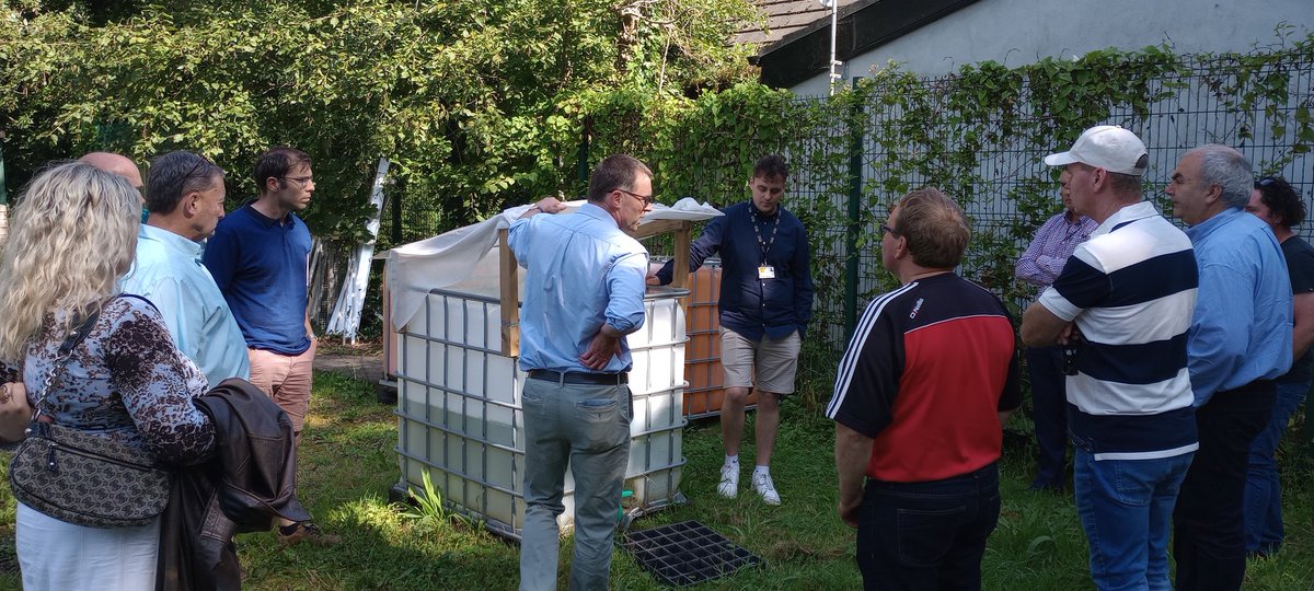 Plants for Sustainability tweet media