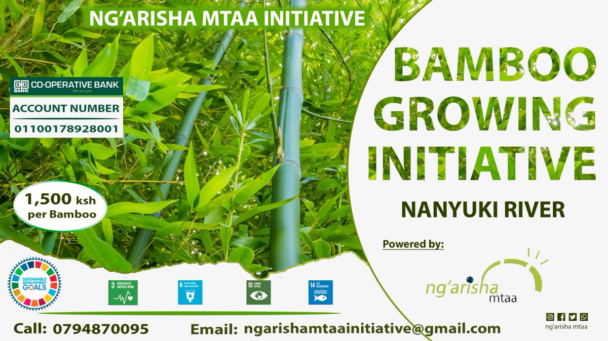 Take part in Nanyuki River restoration by purchasing and planting a bamboo📌 #EcosystemRestoration #SaveNanyukiRiver 💯