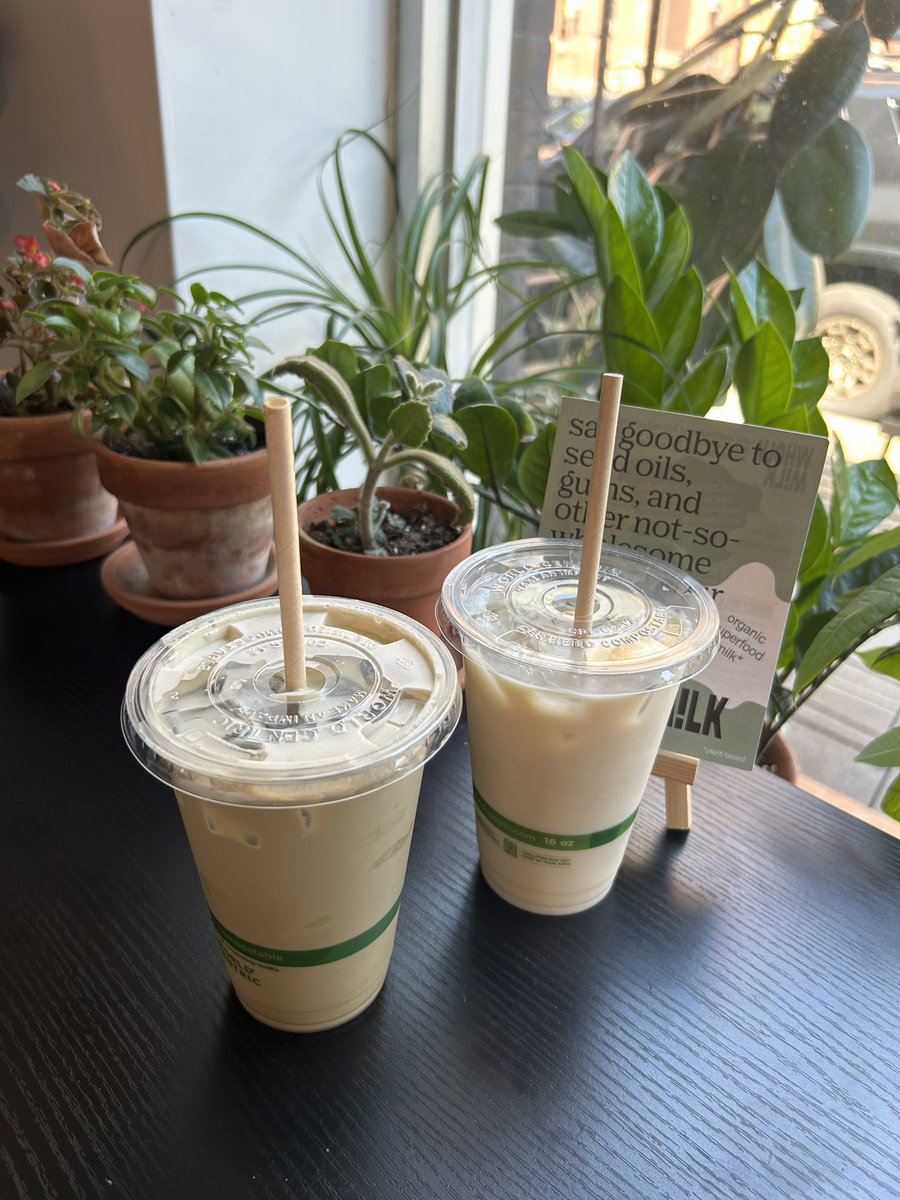 ilosehydros's tweet photo. a small series of cafes I visited recently :> https://t.co/x4h3Ct6kgI