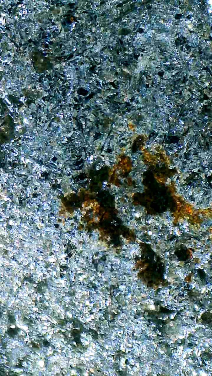 FossilsPossible's tweet photo. #space #rocks #nasa #impossiblefossil  #pallasite #meteorite #DontLookUp #keeplooking  a newly rediscovered find! https://t.co/XCWVfpt4VI