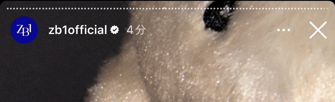swk__a3's tweet photo. てかzb1のストーリ数見てビビった https://t.co/qKDkGvJ9nN