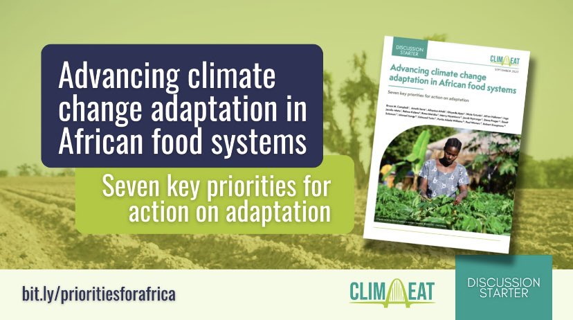 Portia Adade Williams tweet media