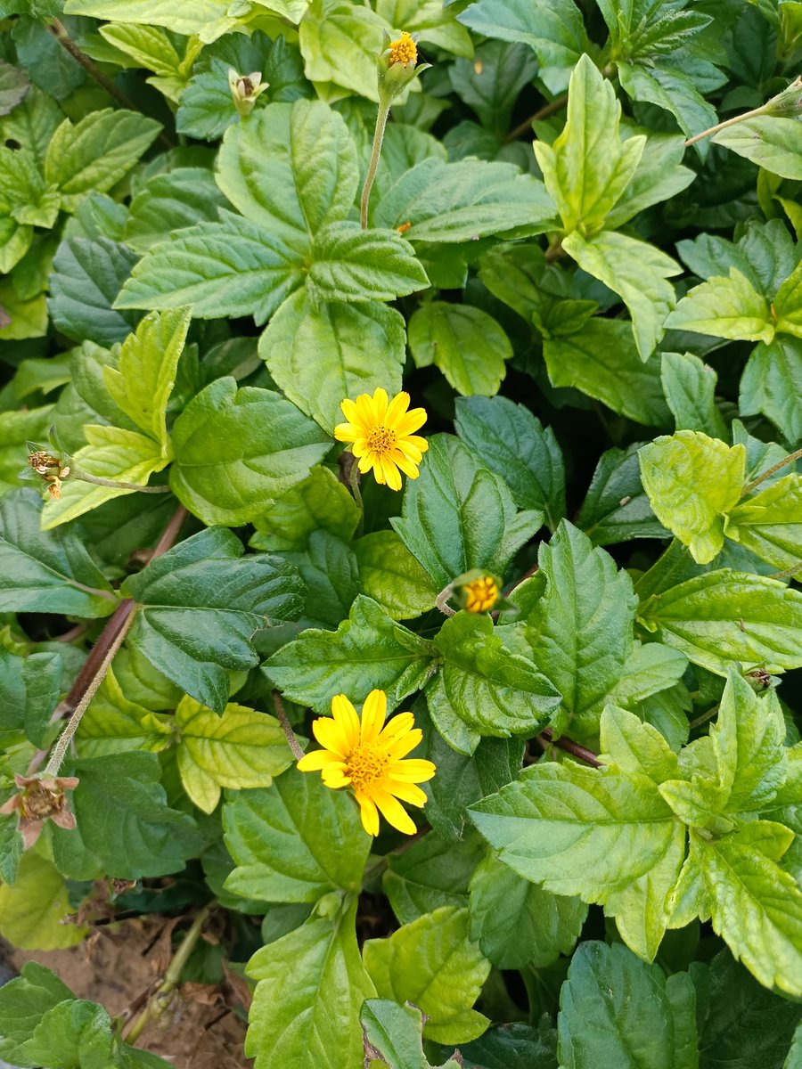 Mohd (@mohd4787936629) on Twitter photo 