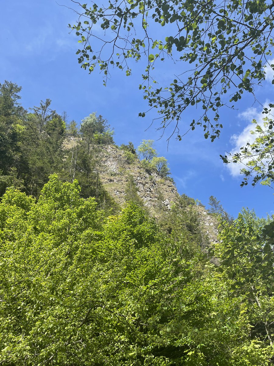 The wonders of Poland #Poland #polishviews #mountainregion