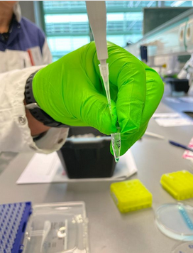 ABEProgOffice's tweet photo. Wishing our ABE The Netherlands colleagues and teachers a successful #ABEPDI today. @dnalabs_nl #learnbiotech #openingminds https://t.co/Vs0ZZvEAMw