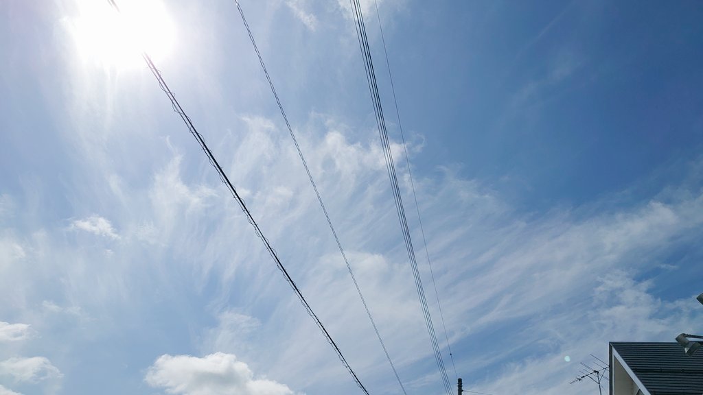LC__Nana's tweet photo. 今日の、あなたが生まれた場所の空 
淡い青と羽根みたいな雲
すごく綺麗だったよ

少しピンクの白
凛と咲いてた

あなたのお陰で、たくさんの大切なひとたちに出逢えたよ
本当に感謝してます

りせちゃん！大好きだよ！
리세 언니~~! 계속 사랑해요!
Love you. Rise ໒꒱· ﾟ

#LADIESCODE #ForeverRise https://t.co/0fo8pYiv4G
