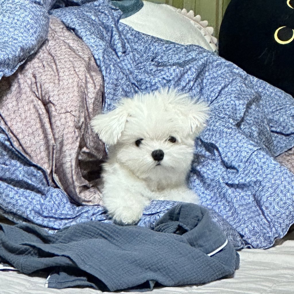 눈나잇자나
둔나...
수능치구나서...
쌍커풀수술해듀면안대??