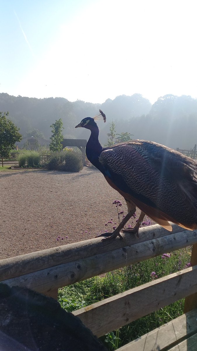 markadcenf's tweet photo. Loverly start to the day ,
@BBCWthrWatchers 
@bbceastcoast 
When working in Jimmy's farm https://t.co/p8qPKSsRe6