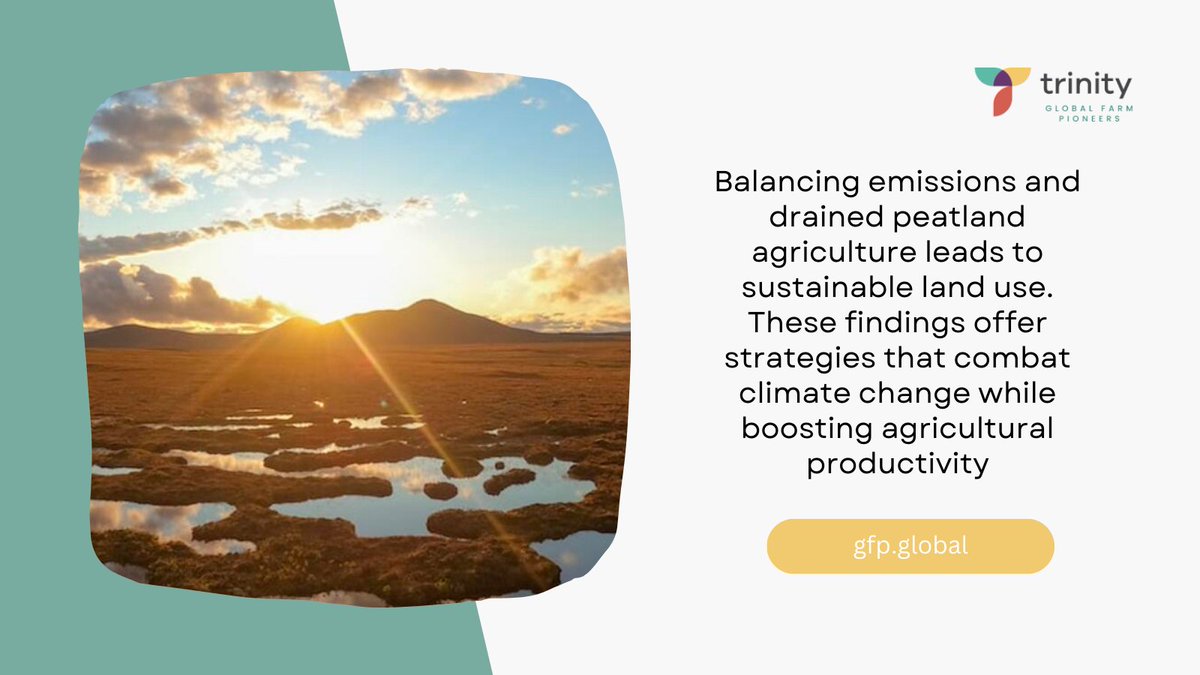 Trinity Global Farm Pioneers tweet media