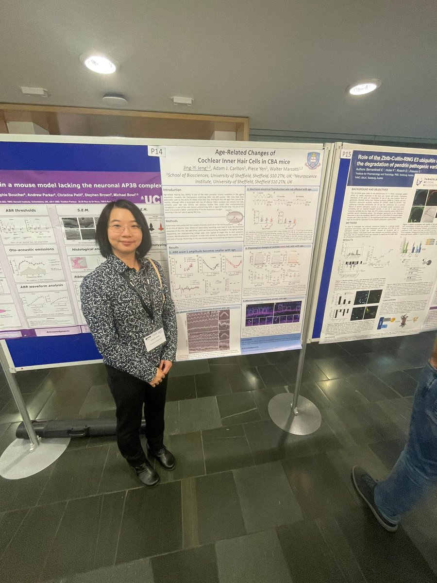 HearingShef's tweet photo. Just back from London are Ginny and Sarah who thoroughly enjoyed presenting their work at @ieb2023!

We hear Sarah was quite thrilled to meet fellow investigator of puringergic signalling, Dwight Bergles, from @HopkinsNeuro 😁 https://t.co/oIgclDPABw