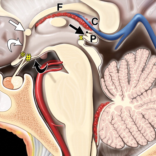 Sameer Raniga tweet media