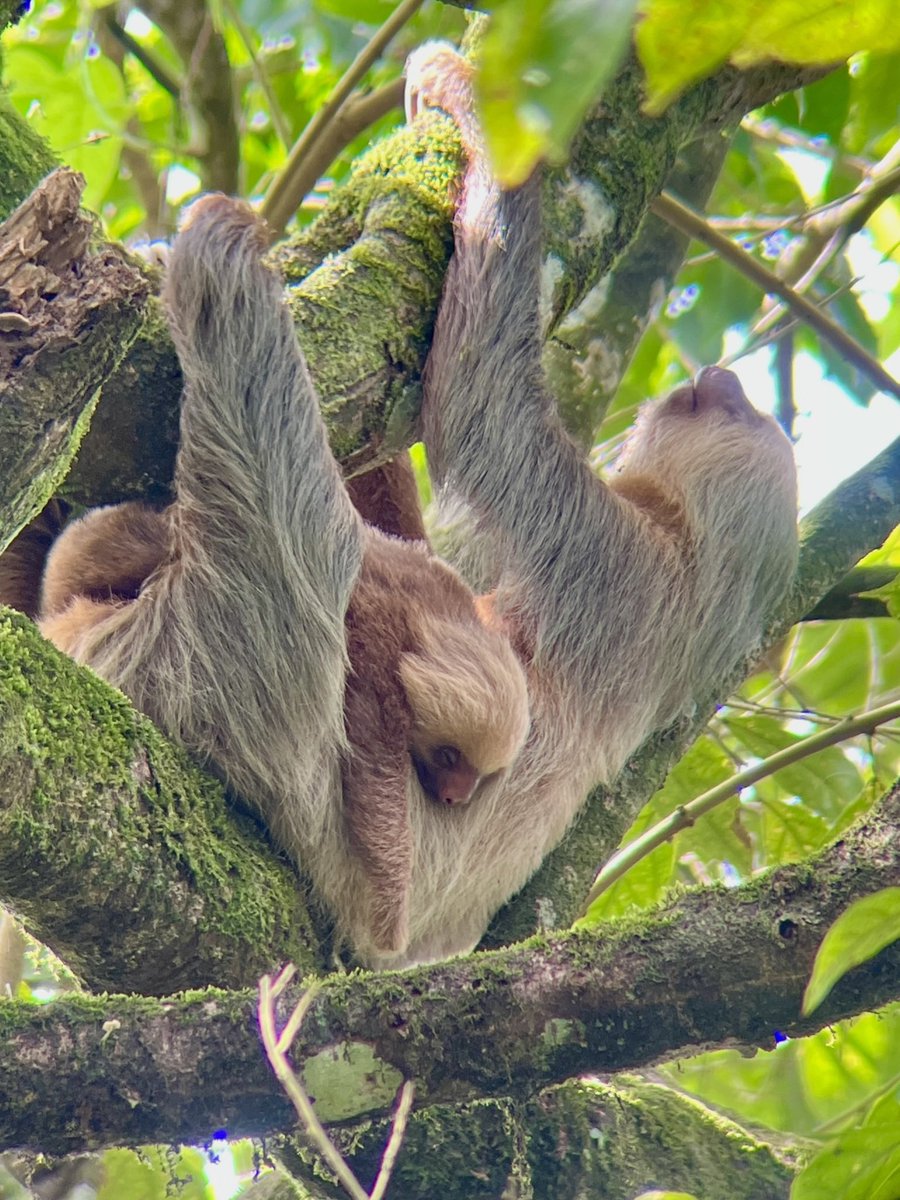 Chloe Fawns-Ritchie tweet media