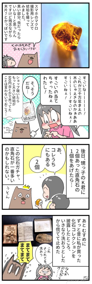 親子で化石にハマる yupiyupiko.blog.jp/archives/… #むすめ雑記帳 #化石 #国立科学博物館 #琥珀の夏  琥珀(虫入り)が特に好きです。