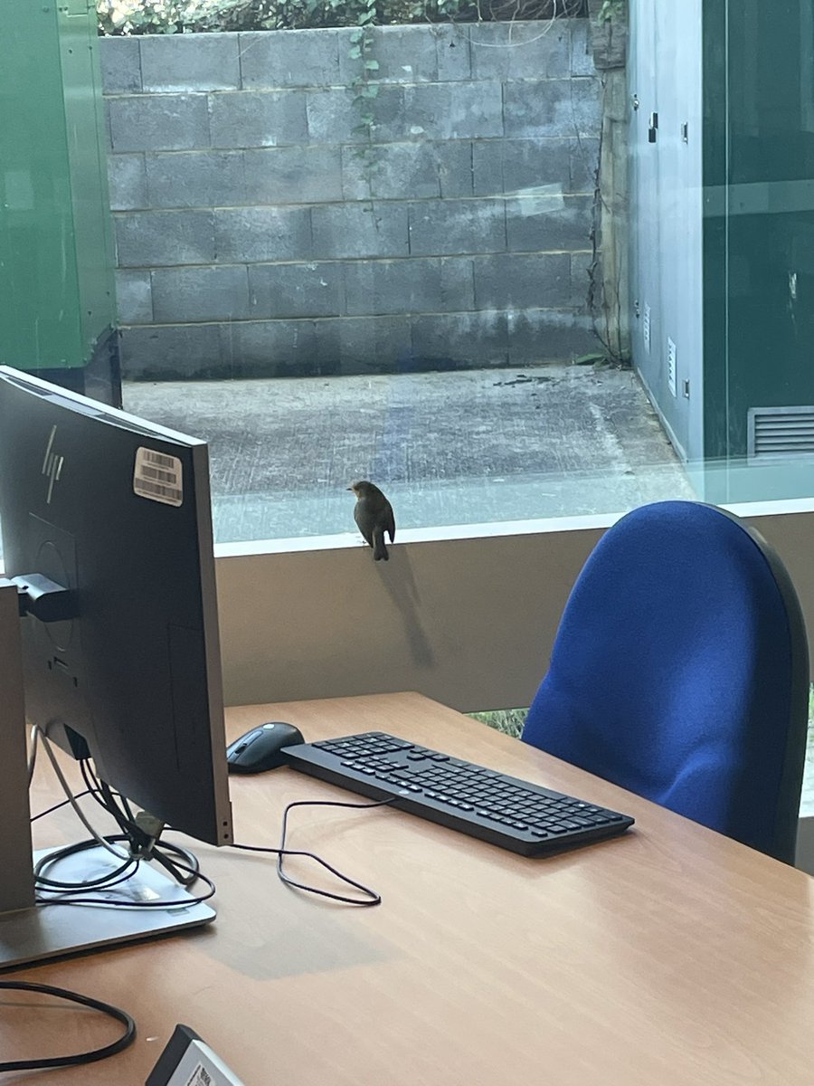 Falmer Library, University of Brighton. tweet media