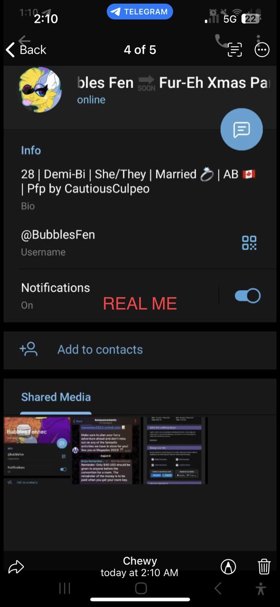 BubblesFen's tweet photo. Can’t believe I have to make this post. 

But someone stole my art and name and is using my name and image to SCAM people for rooms for @MegaplexCon. Thankfully I was informed about this. They are using the handle @bubblesfen on Telegram. THIS IS NOT ME! DO NOT INTERACT WITH THEM https://t.co/ig4R260bUA