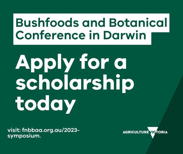 Calling First Nations women in agriculture, especially bushfoods & botanicals! Register for the 2023 Native Foods & Botanicals conference in Darwin. 

Made possible by First Nations Bushfood & Botanical Alliance Australia, backed by @VicGovAg. 

Read more: bit.ly/3r4B4hy