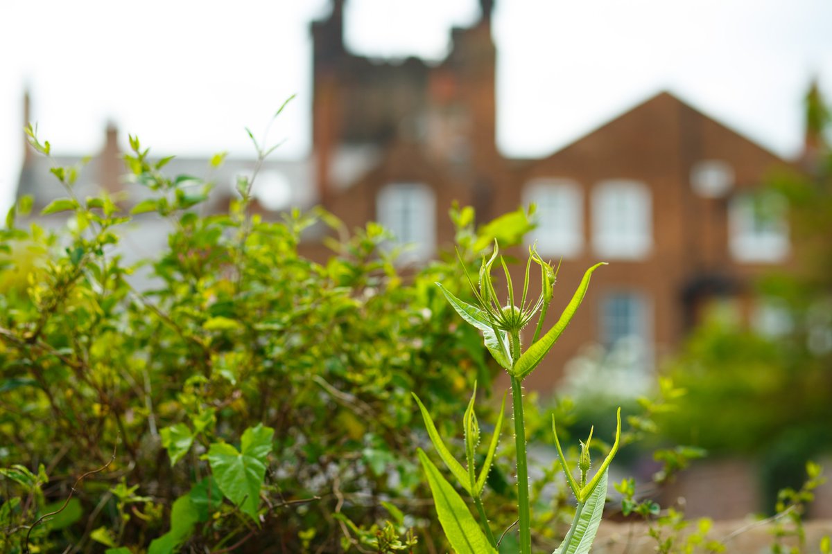 Chester Cathedral Works Department tweet media