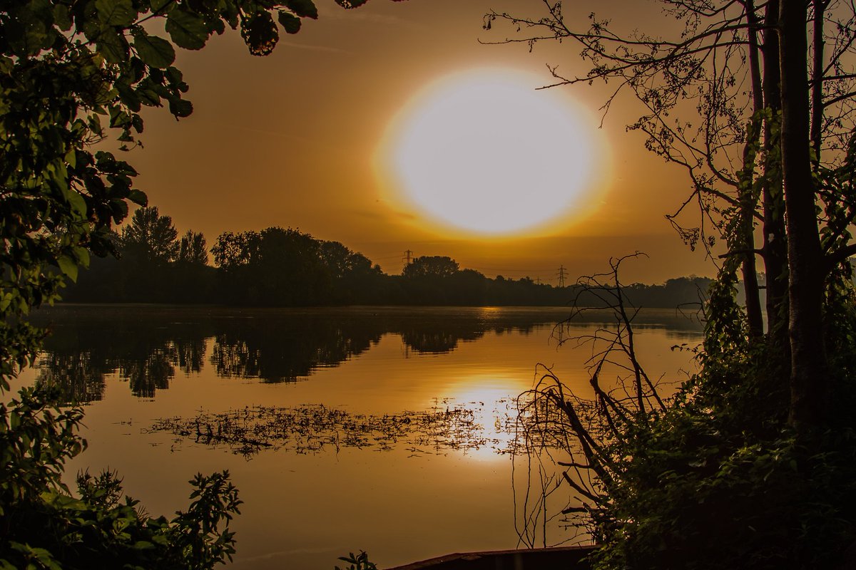 Thursday, and I think it's going to be another hot one @ChrisPage90 @WeatherAisling ? #ironsie #sunrise #horizon #heatwave #thursdaymorning #thursdayvibes #BackToSchool #nikon @ThePhotoHour