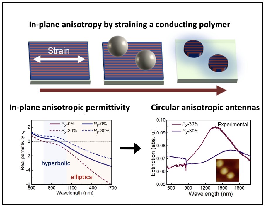 We show that straining a conducting polymer can lead to anisotropic plasma frequency, attributed to induced anisotropic effective mass of the charge carriers. This enabled circular plasmonic antennas with anisotropic response. onlinelibrary.wiley.com/doi/abs/10.100… @AFM_LiU @LOE_at_LiU