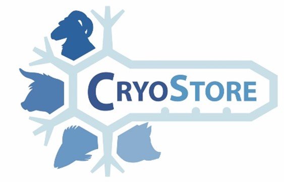 UEECA_'s tweet photo. 🤔¿Estás buscando un proyecto de doctorado? ¿Estás interesado en técnicas de conservación de material genético? Esto puede interesarte:
👩🔬El proyecto #Cryostore ofrece 10 becas para desarrollar tesis doctorales en el campo de la criobiología
+Info en: https://t.co/hqX5F22wcG. https://t.co/1iuxHZzjVK