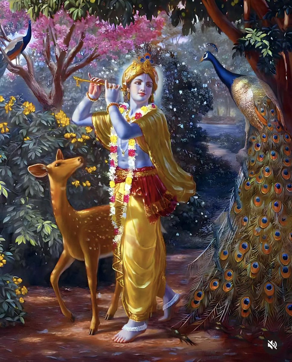 kaushikcop's tweet photo. Happy Janmashtami! May the blessings of Lord Krishna bring joy, love, and peace to the lives of all.

"Strive constantly to serve the welfare of the world, by devotion to selfless work one attains the supreme goal of life".- Shri Bhagavad Gita https://t.co/3ALxUjvpzM