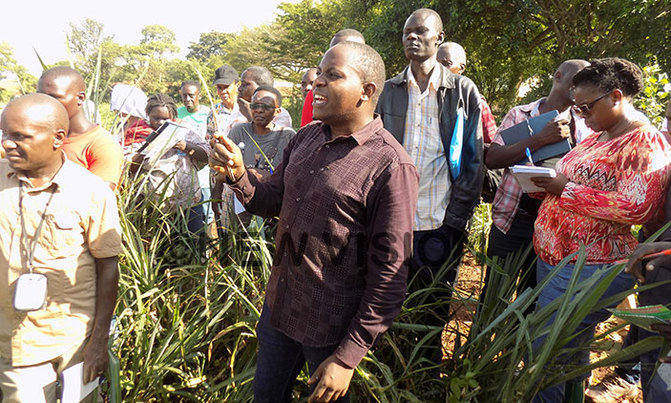 NatwijukaBrian1's tweet photo. At @Robranholdings , sharing knowledge with our fellow farmers is not just a commitment; it's our top priority. We're proud to have empowered over 1000 farmers with free consultations on livestock and pasture production and management. Together, we grow stronger, greener, and more sustainable. 🌱🐄 #FarmersHelpingFarmers #SharingKnowledge