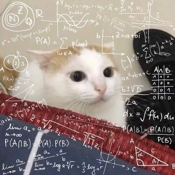 JustAskWhatIf's tweet photo. Suka pada bingung ga sih kalo mau mulai belajar Pengetahuan Kuantitatif? PK itu materinya beragam tapi disetiap test pasti ada materi materi tertentu yang sering diuji dan hampir ada di setiap tahunnya!

Yuk, bahas 5 materi yang sering keluar di SNBT PK! https://t.co/fnyMJj6qQO