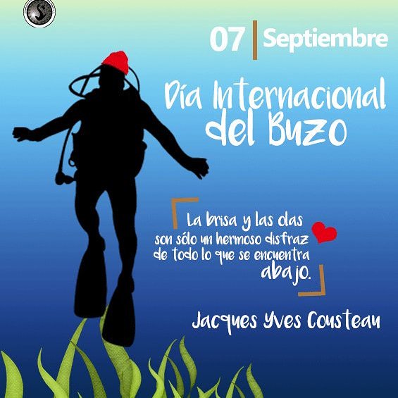_Smiorgan_'s tweet photo. Feliz Día Internacional del Buzo. #buceo #DiversDay https://t.co/qgwQRHMjxk