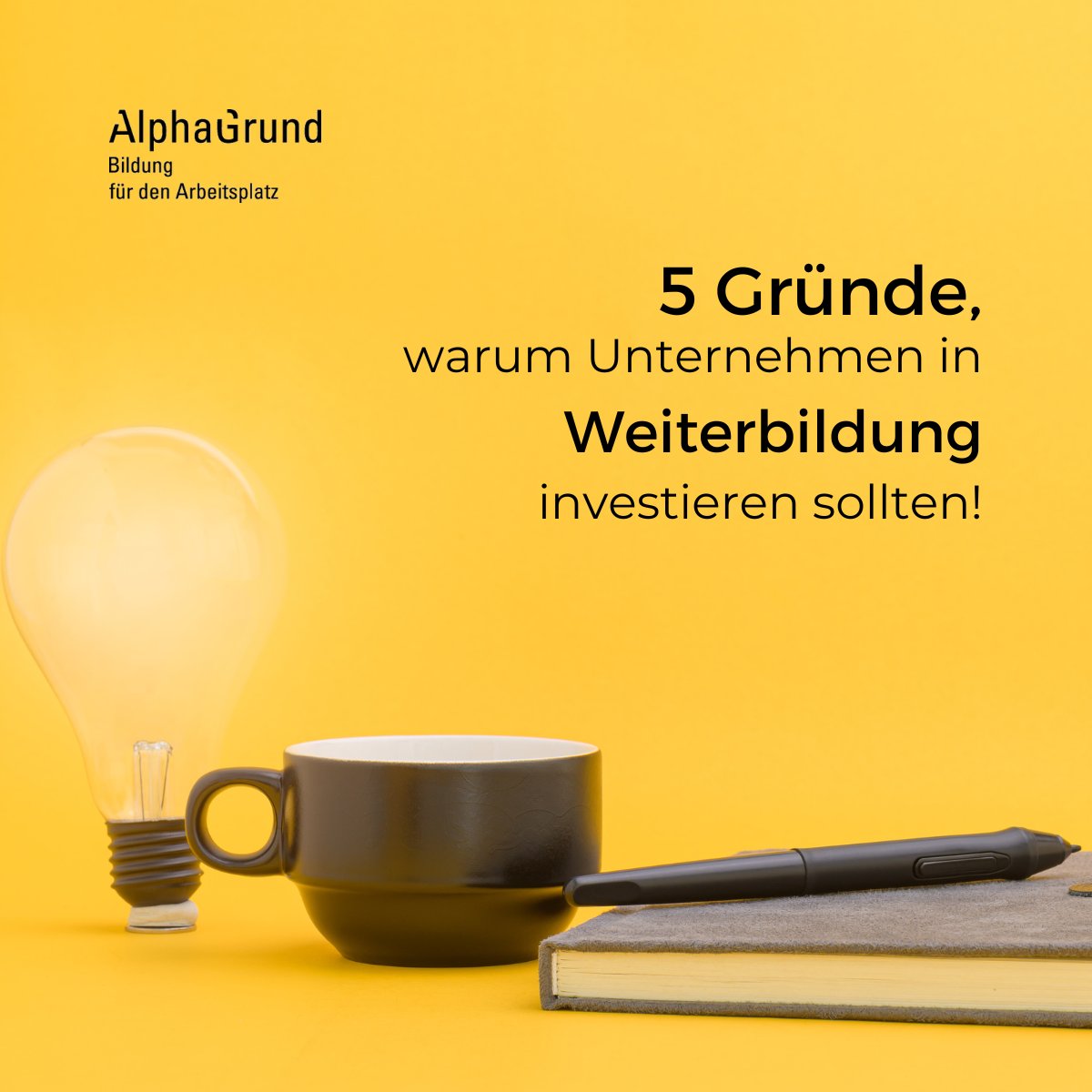 Projekt AlphaGrund tweet media