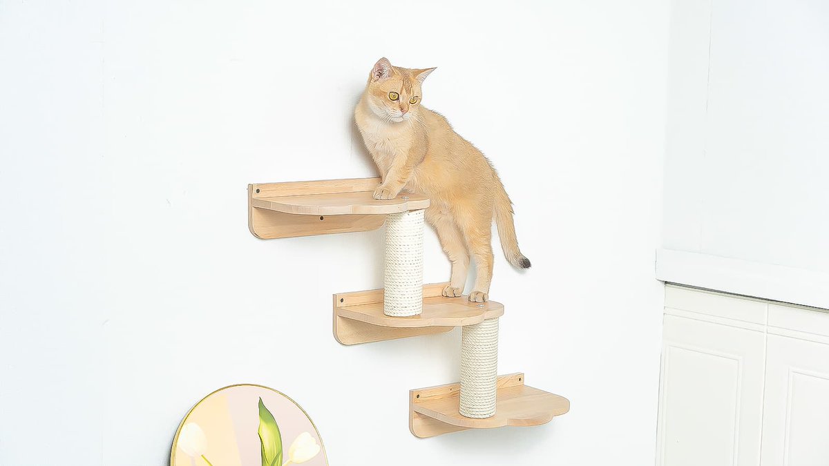 How can cats exercise and stay active with cat wall racks? The cat wall stand provides vertical exploration and inspires cat jumping, balance and agility. The rough surface of the cat wall rack keeps paws healthy and muscles stretched.#petomg #catcute #cattree #catwall