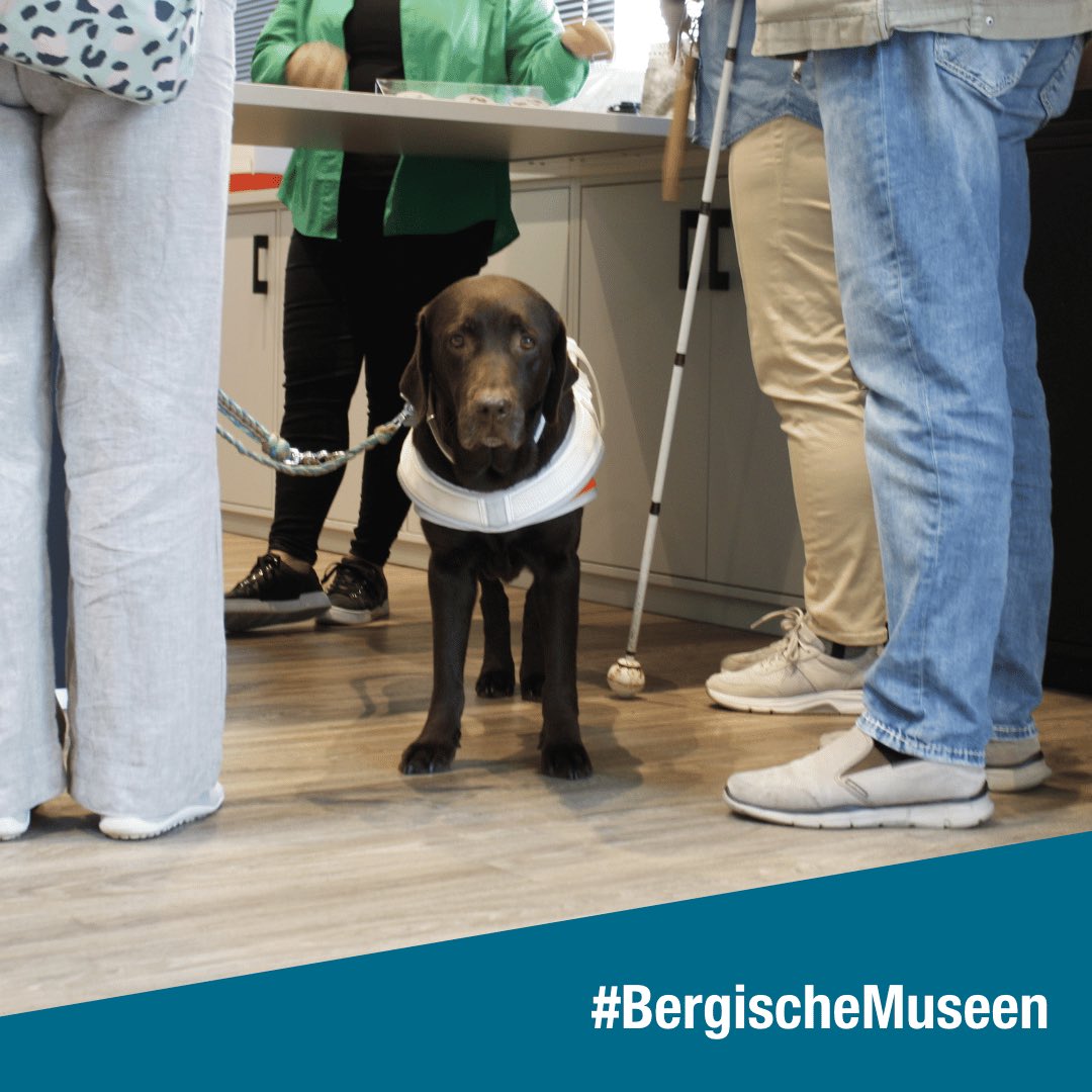 #Barrierefreiheit, #Inklusion und #Teilhabe sind ein besonderer Schwerpunkt unserer Netzwerkarbeit. Nach einem Sensibilisierungsworkshop mit <a href="/kubia_nrw/">kubia</a> laden die Museen aktuell Fokusgruppen ein, um Hürden und Bedürfnisse aus erster Hand kennen zu lernen. 
bergischemuseen.de/netzwerk/
