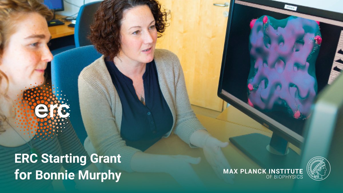 Max Planck Institute of Biophysics (@mpibp) on Twitter photo Warmest congrats to our group leader Bonnie Murphy (<a href="/_Murphy_Lab/">Murphy Lab</a>) on being awarded one of 400 #ERCStG among 2696 applicants for her interdisciplinary project at the intersection of biological & analytical electron microscopy👉biophys.mpg.de/en/erc-startin…
<a href="/ERC_Research/">European Research Council (ERC)</a> <a href="/maxplanckpress/">Max Planck Society</a> Warmest congrats to our group leader Bonnie Murphy (<a href="/_Murphy_Lab/">Murphy Lab</a>) on being awarded one of 400 #ERCStG among 2696 applicants for her interdisciplinary project at the intersection of biological & analytical electron microscopy👉biophys.mpg.de/en/erc-startin…
<a href="/ERC_Research/">European Research Council (ERC)</a> <a href="/maxplanckpress/">Max Planck Society</a>