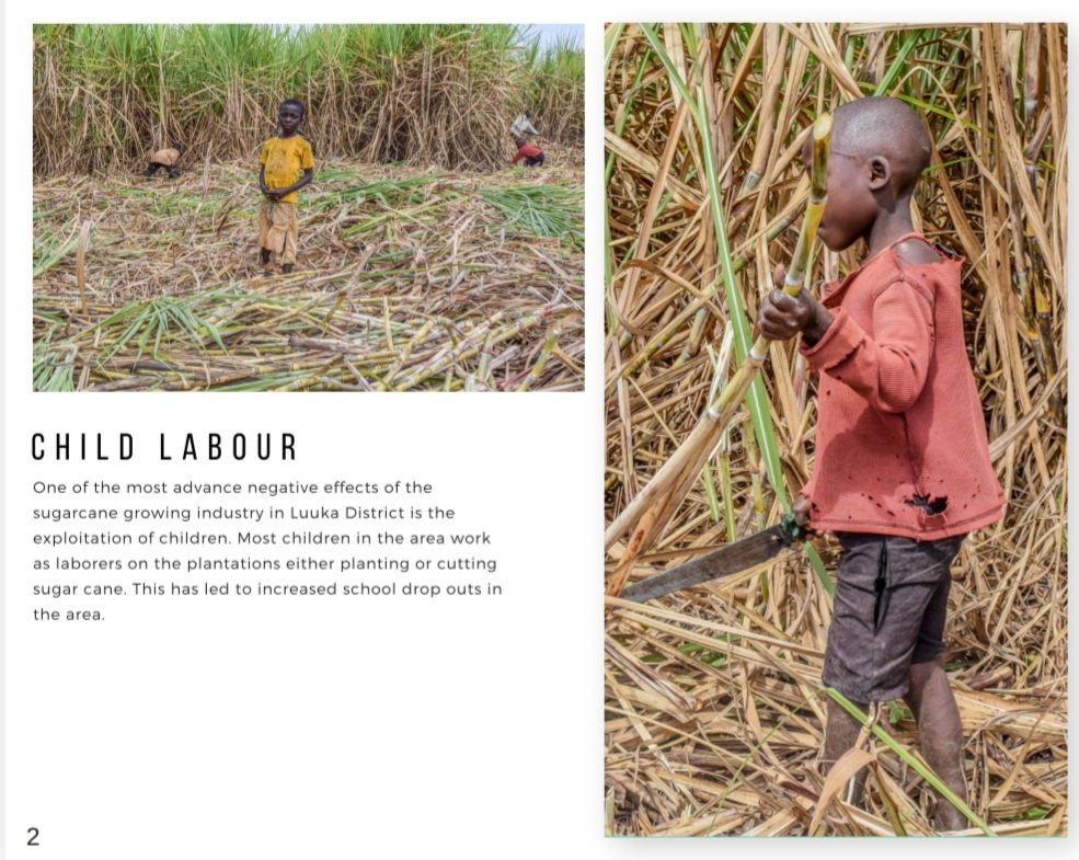 UccaUg's tweet photo. #ABHForum #Day2
On mainstreaming child rights into responsible business conduct, we have extensively done research on Child Labour in plantation agriculture sector with a special focus on sugarcane @ISERUganda @SEATINIUGANDA @FIDAUganda @RRightsAfrica @EUinUG @VictoriadeMell_ https://t.co/EErD1uKgaV