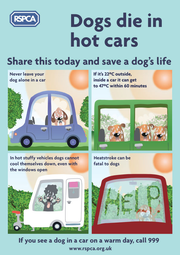 It’s set to be red hot today ☀️ 

Remember, dogs can die in hot cars. If you see a dog in a car on a warm day, call 999. 

Find out more at:

rspca.org.uk/adviceandwelfa…