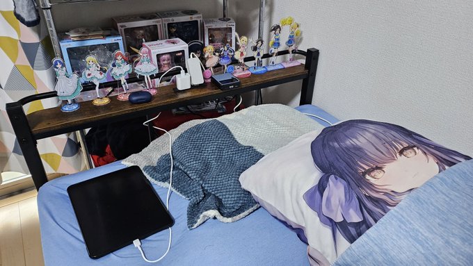 オタクのベッドが完成した 