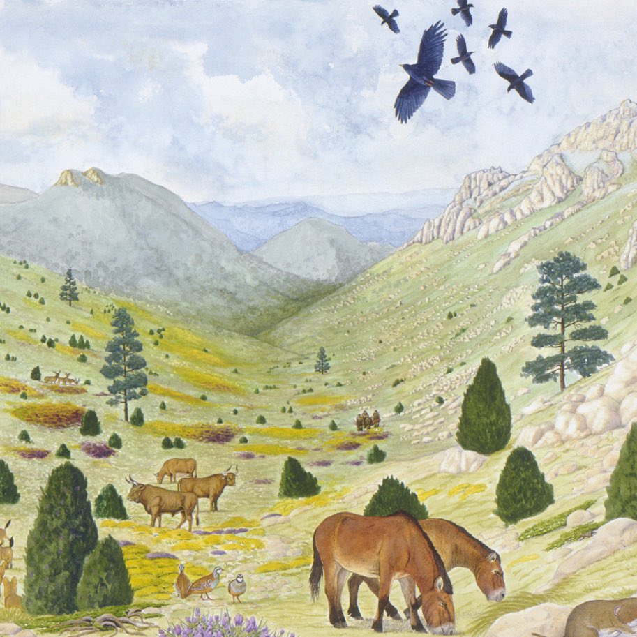 Representar un #paisaje científicamente es una de las competencias que adquieren nuestros alumn@s En la imagen una reconstrucción de la fauna y flora de la Cova del Parpalló hace aproximadamente 18.000 años <a href="/CarlesPuche/">carles puche</a> 
#ilustracion #ilustracioncientifica #cienciasnaturales