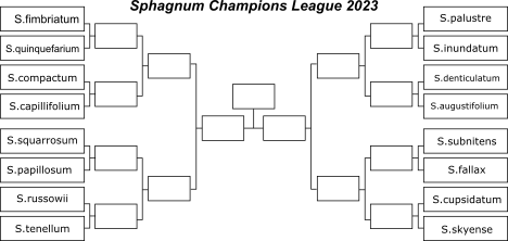 4 days left before the start of the Sphagnum Champions League #SphagCL . Exciting!! Time to meet this year contenders! Sorry we couldn't include them all. The qualification stage was fierce! #ThereCanOnlyBeOne