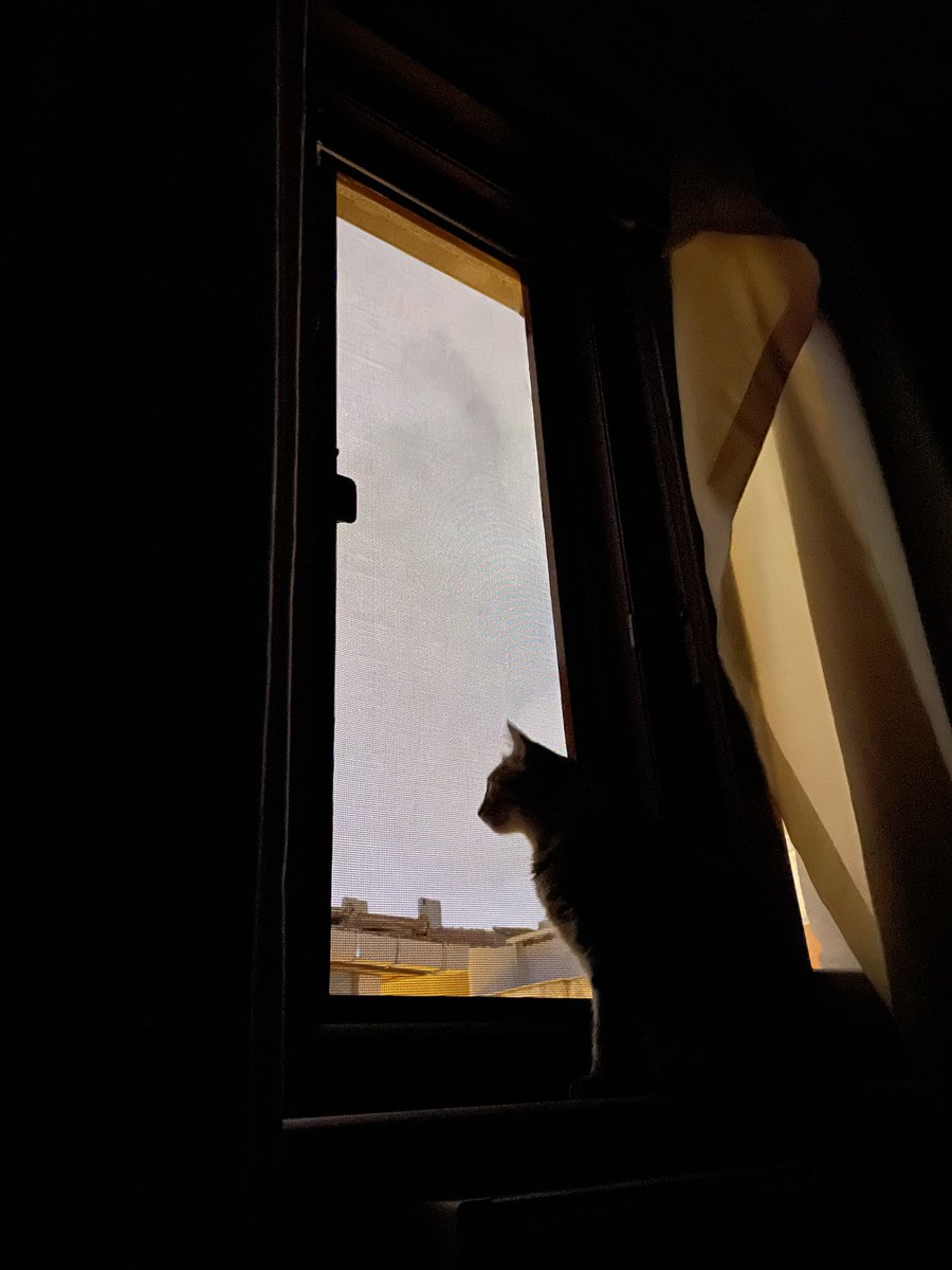 Sinefillik bahanemdi // Ben her filmde seni aradım (Ripley’s version)