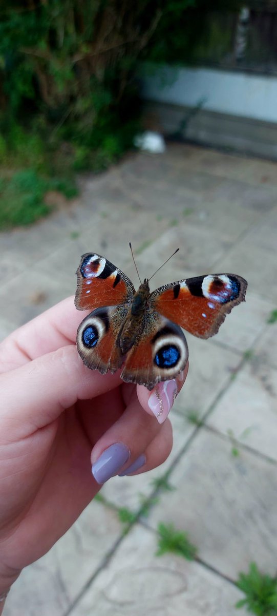 SAMS LTD tweet media